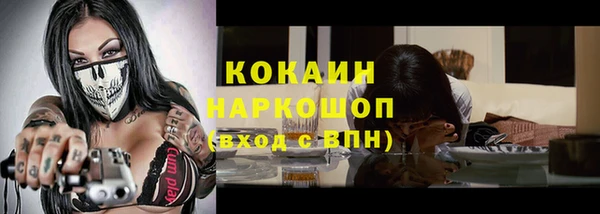 стаф Бородино