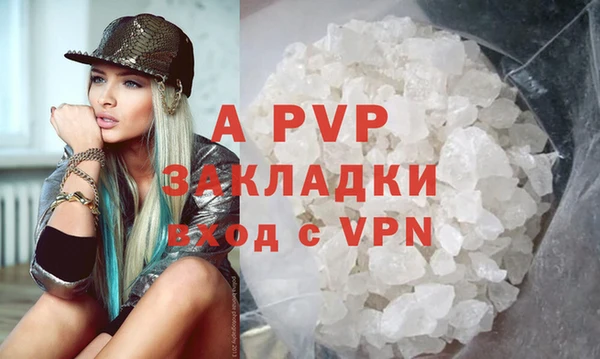 индика Бронницы