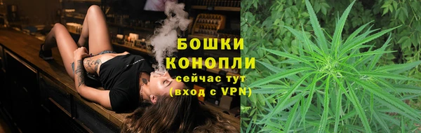 стаф Бородино