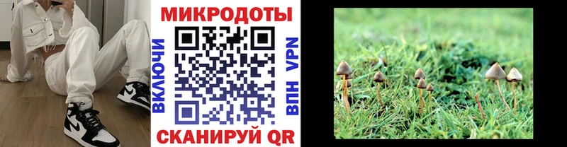 Псилоцибиновые грибы GOLDEN TEACHER Нестеров