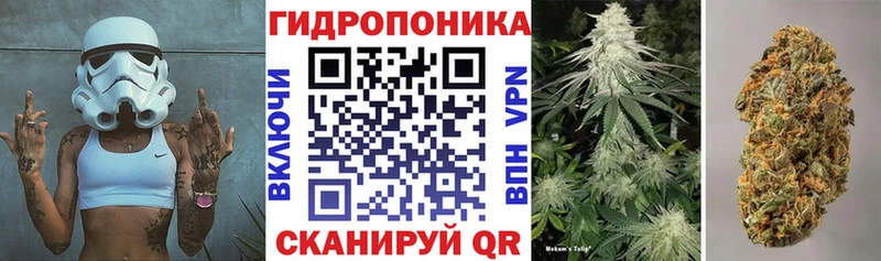 МАРИХУАНА SATIVA & INDICA дарк нет клад Нестеров